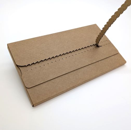 stabile Mailing-Verpackung aus Wellpappe