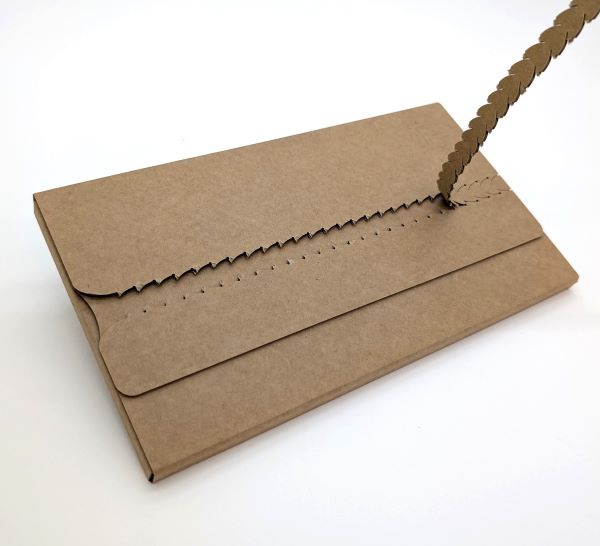 stabile Mailingverpackung aus Wellpappe