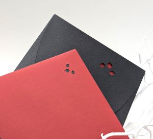 Kuverts und Geschenkverpackung mit Lasermotiv "Haselnüsse"
