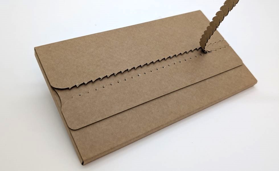 Mailing-Verpackung gelasert aus Wellpappe
