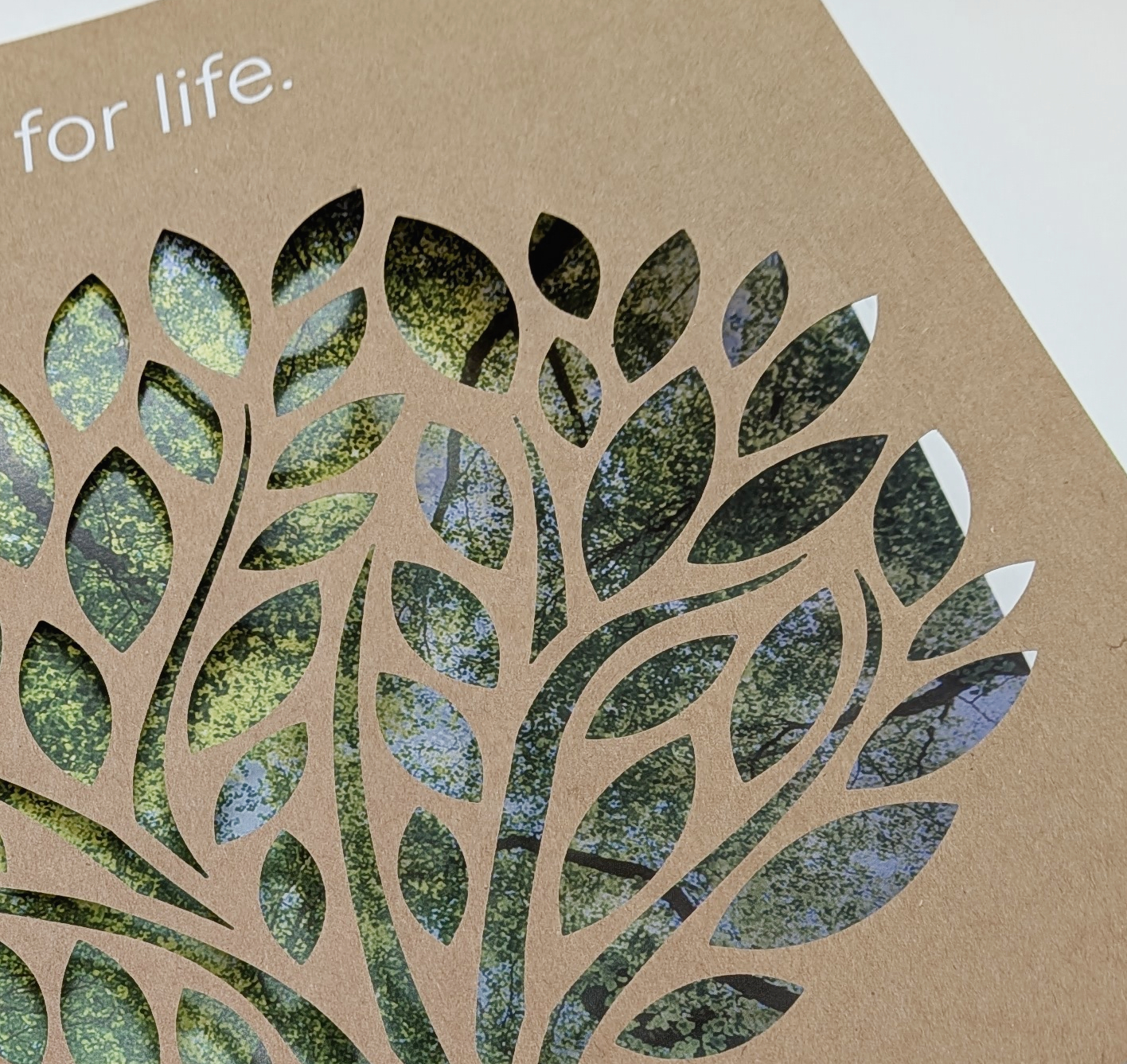 Umschlag mit Lasercut